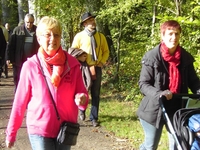 Osbroekwandeling