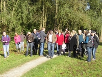 Osbroekwandeling