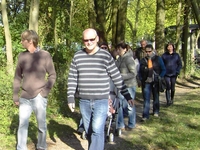 Osbroekwandeling